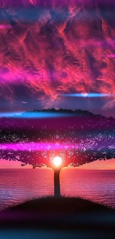 Beautiful sunset behind a tree with a purple sky.