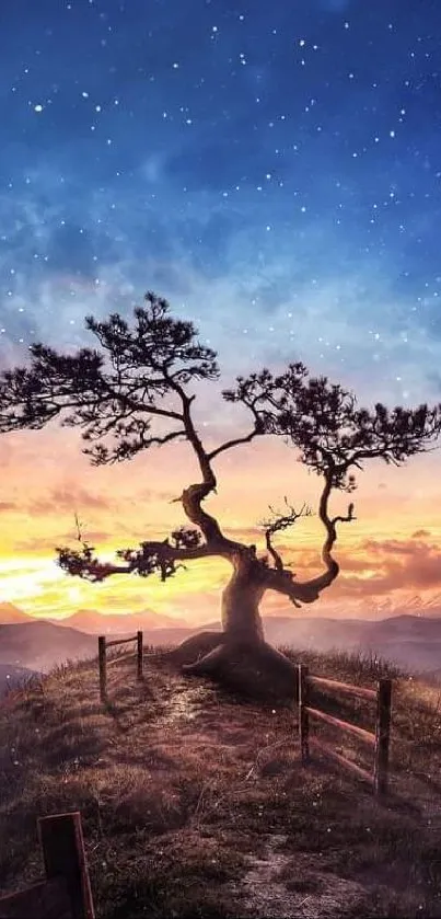 Lone tree on hilltop under a starry sunset sky in a serene mobile wallpaper.