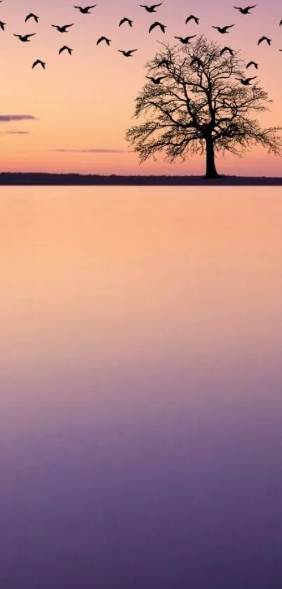 Serene sunset scene with tree silhouette and birds flying.