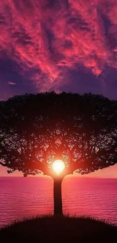 Mobile wallpaper with a sunset behind a silhouetted tree.