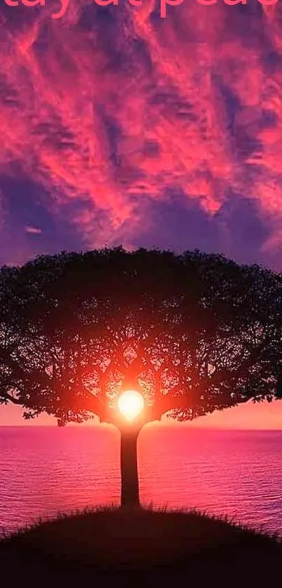 Sunset behind a tree with pink and purple skies for a serene wallpaper.