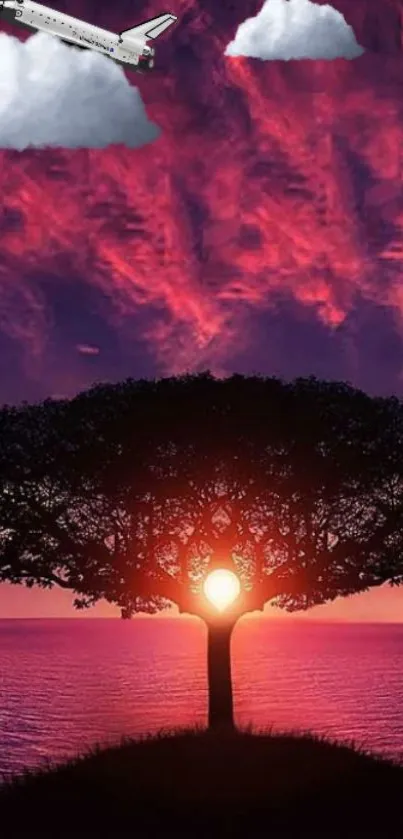 Vibrant sunset wallpaper with tree silhouette and plane.