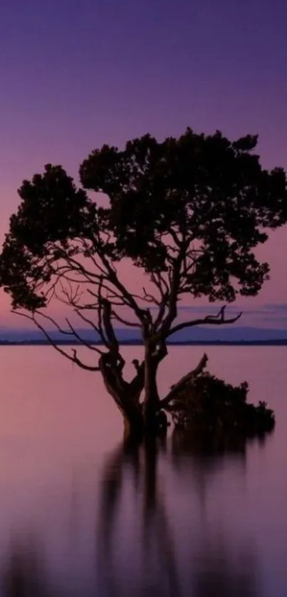 Solitary tree silhouetted against a purple sunset on a calm lake.