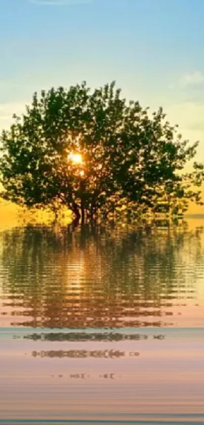 Beautiful sunset tree reflected in calm water, with a vibrant gradient sky.