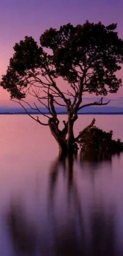 Lone tree reflecting in purple sunset waters.