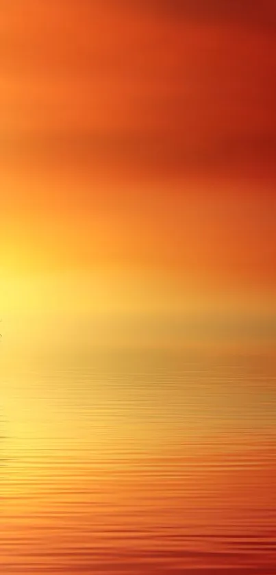 Serene sunset with a lone tree reflected in calm waters.