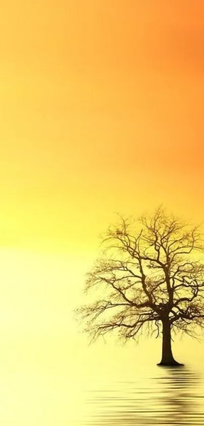 A lone tree silhouetted against a vibrant orange sunset in a serene mobile wallpaper.