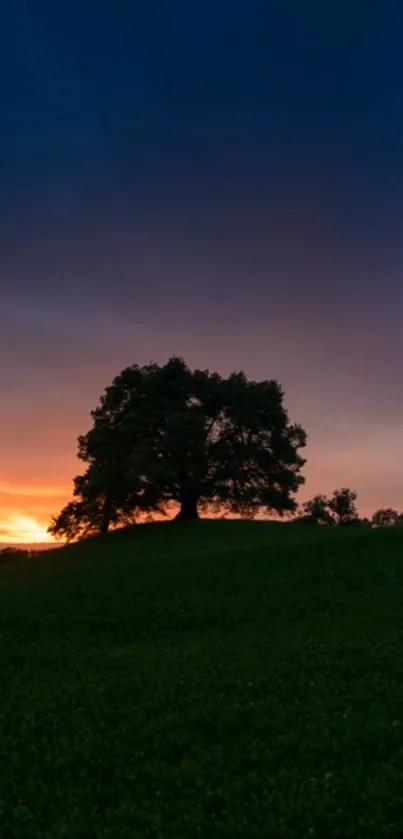 A lone tree silhouetted against a vibrant, colorful sunset sky.