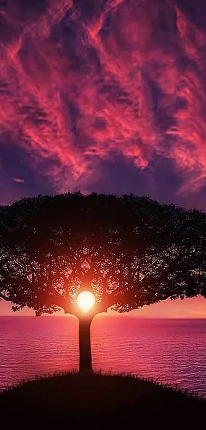 Majestic tree silhouette at sunset with purple sky and ocean view.