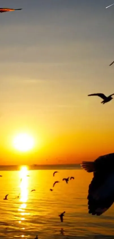 Vibrant sunset over ocean with birds flying.