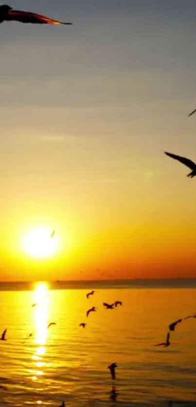 Golden sunset over ocean with birds flying.