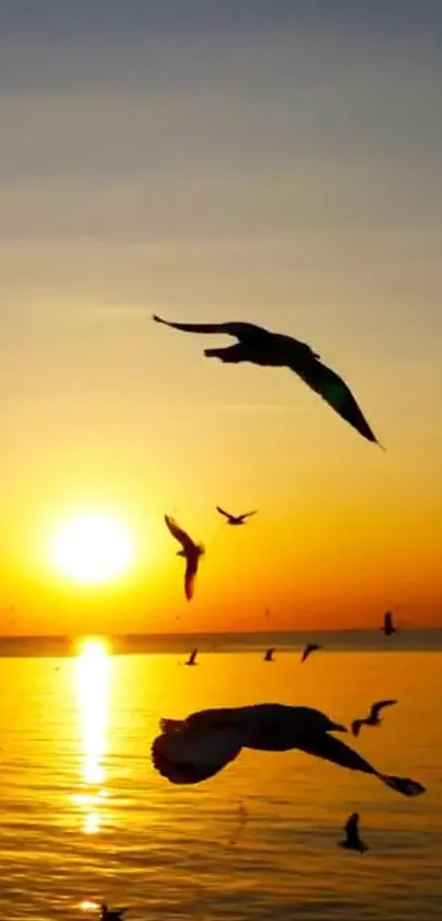 Sunset over ocean with birds flying.