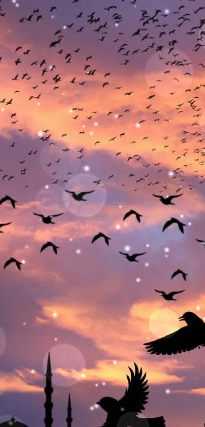 Sunset sky with birds flying in silhouette over city.