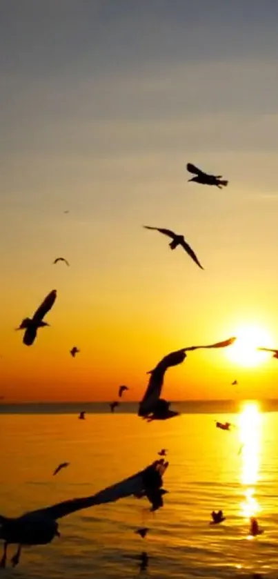 Silhouetted birds at sunset over a calm ocean with golden hues.