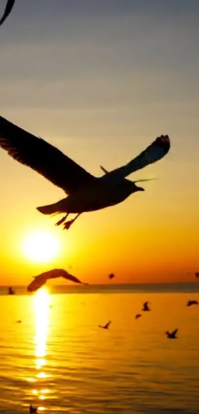 Birds flying in front of a vibrant sunset over the ocean.