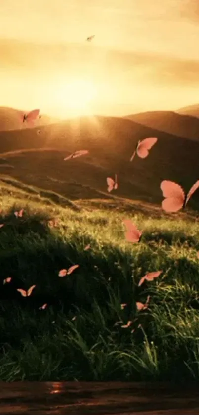 Serene sunset over hills with fluttering pink butterflies.