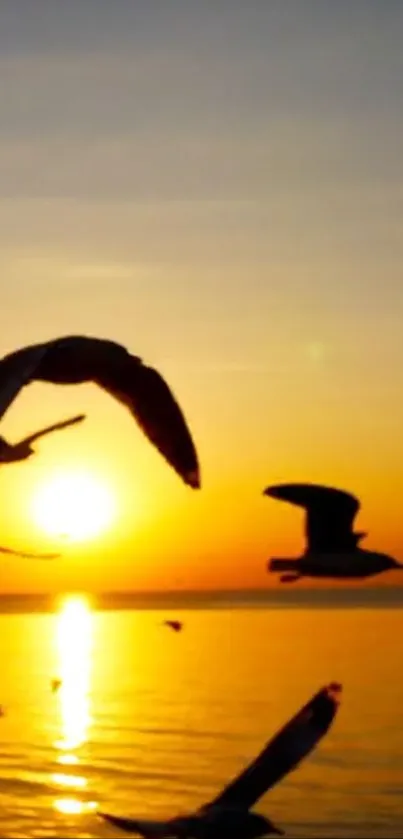 Birds silhouette against a serene sunset over a calm sea.