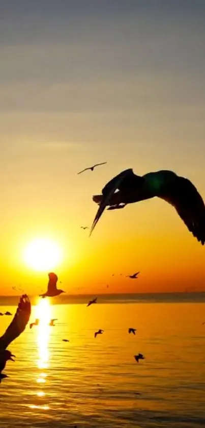 Silhouette of birds flying across a vibrant sunset over the ocean.