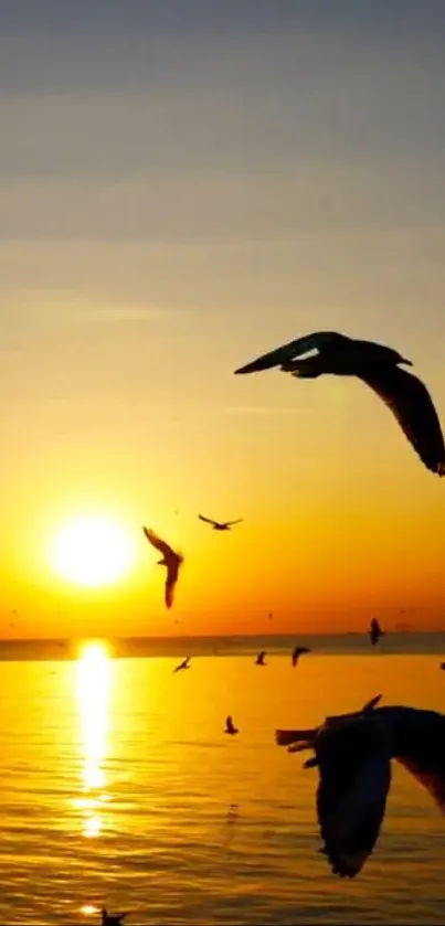 Birds flying in a serene sunset over the ocean.