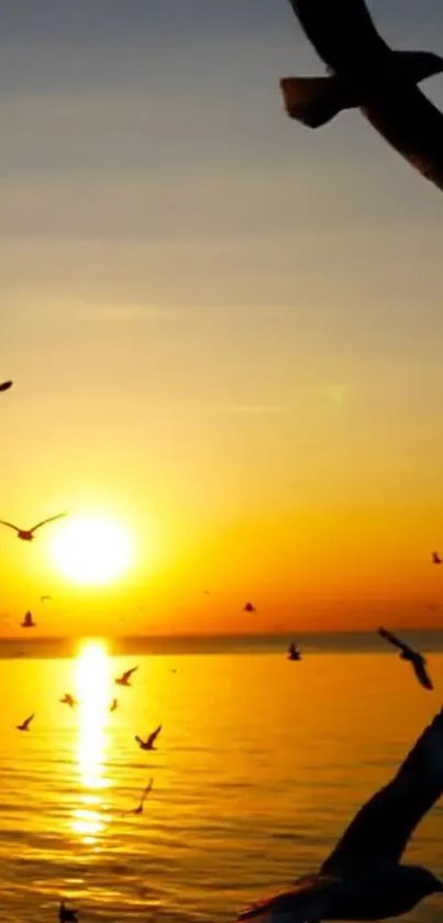 Serene sunset over ocean with flying birds.