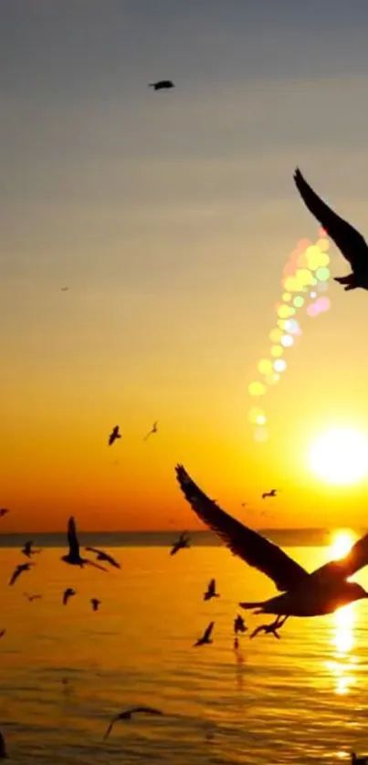 Silhouette of birds flying across a sunset-lit ocean.