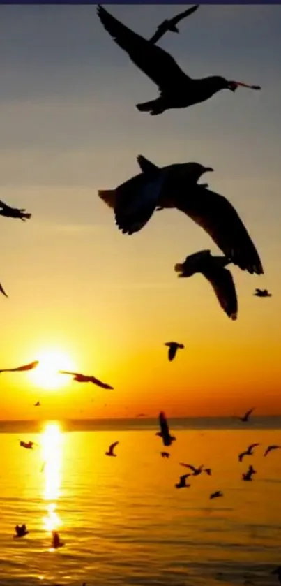 Sunset with birds flying over a calm ocean, creating a serene and peaceful scene.