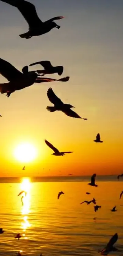 A tranquil sunset with birds flying over a calm ocean.