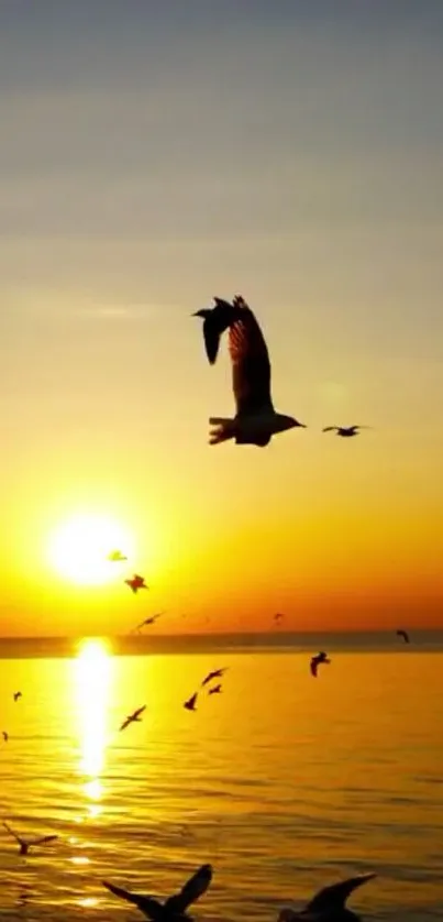 Sunset with birds flying over ocean waters