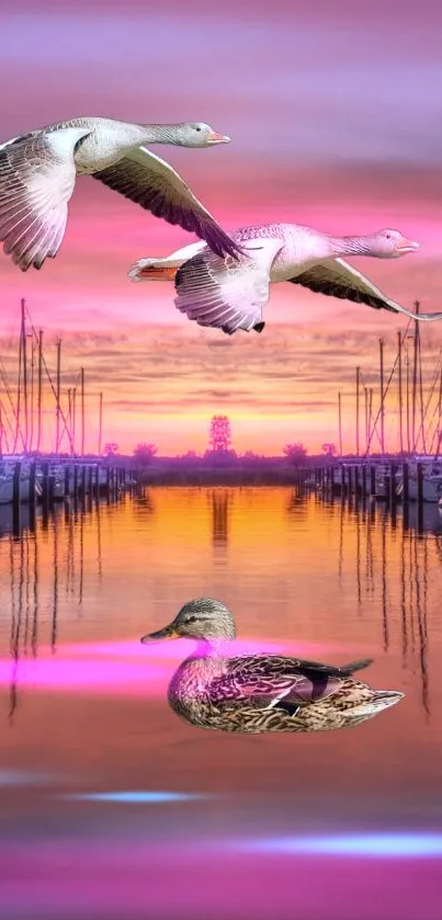 Sunset over marina with flying ducks and vibrant colors in the sky.