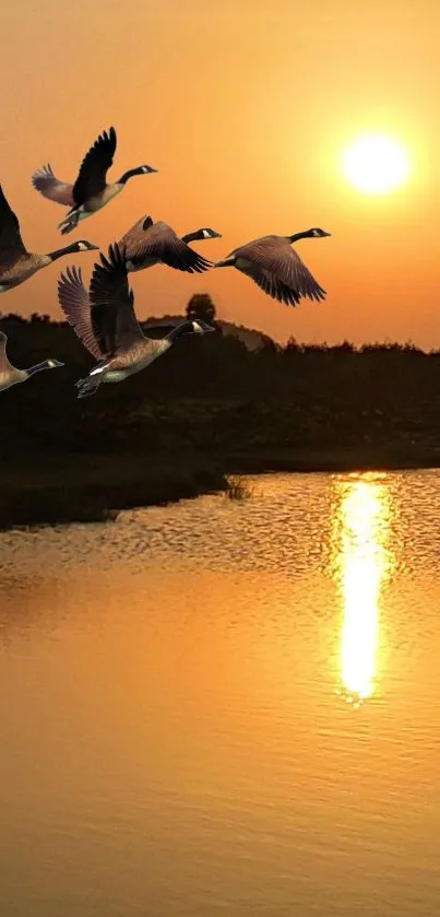 Sunset over lake with flying geese, warm orange tones.