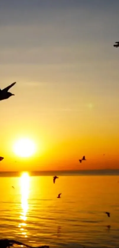 Golden sunset with seagulls flying over a calm sea.