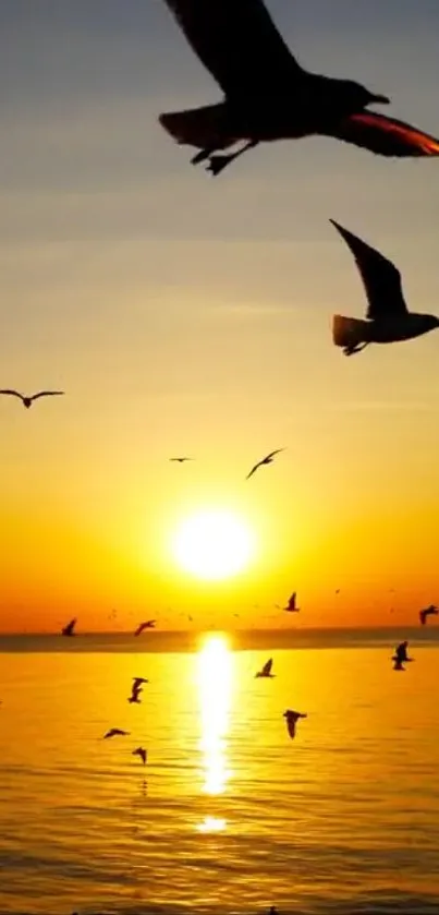 Seagulls soar over an ocean sunset, casting serene reflections.