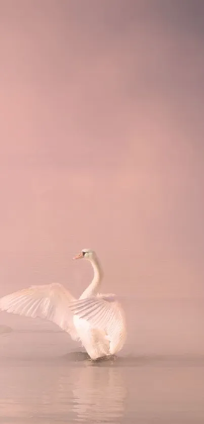 Swan gliding gracefully through misty pink waters at dawn.