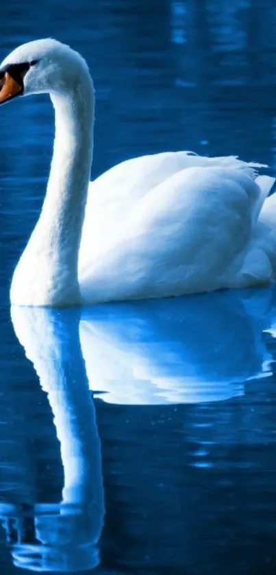 Graceful swan glides on serene blue waters in mobile wallpaper.