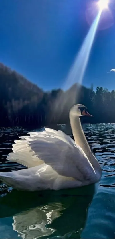 Majestic swan gliding on serene blue lake under sunlight.