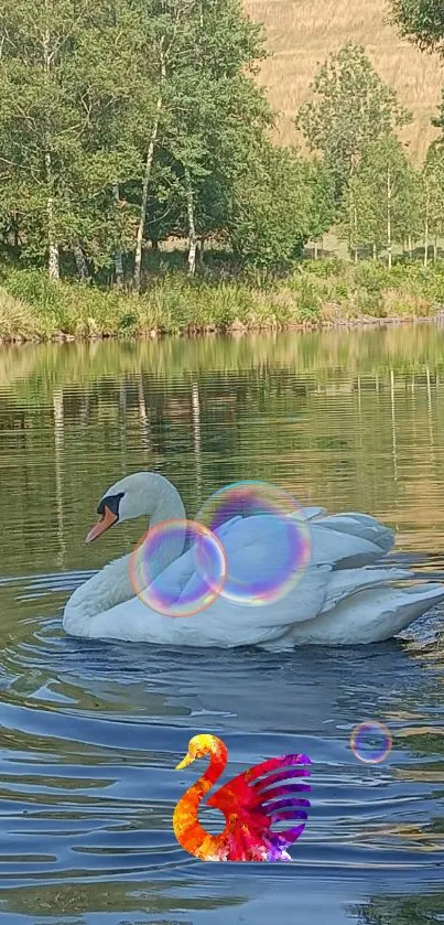 Swan gliding on a lake with reflections and colorful bubbles.