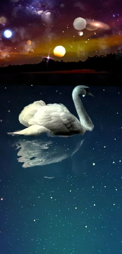 Graceful swan in a starry, colorful night.