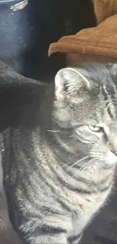 A serene tabby cat with striking green eyes.