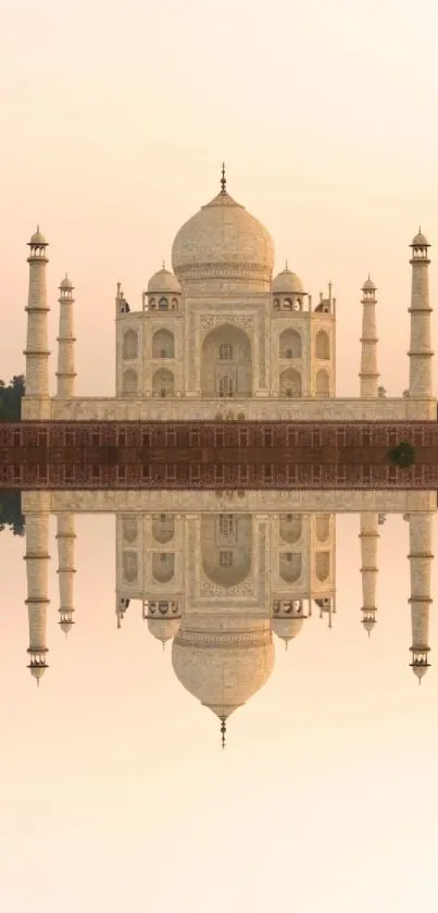 Taj Mahal mirrored on still water creates a tranquil mobile wallpaper.