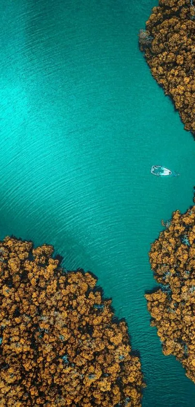 Aerial view of turquoise waters with a boat and golden foliage.