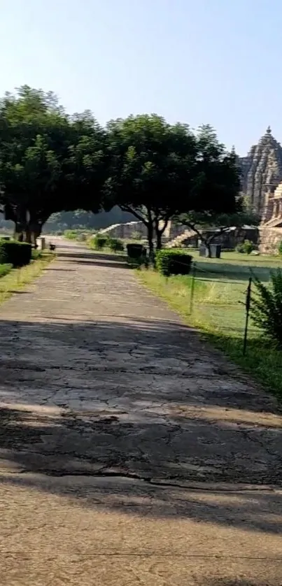 Scenic temple path surrounded by trees and greenery