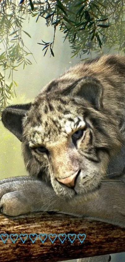 Serene tiger resting on a branch in a lush jungle.