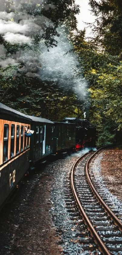 Serene train travels through lush forest on a winding track.