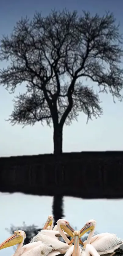 Leafless tree silhouette with pelican flock by reflective water at dawn.