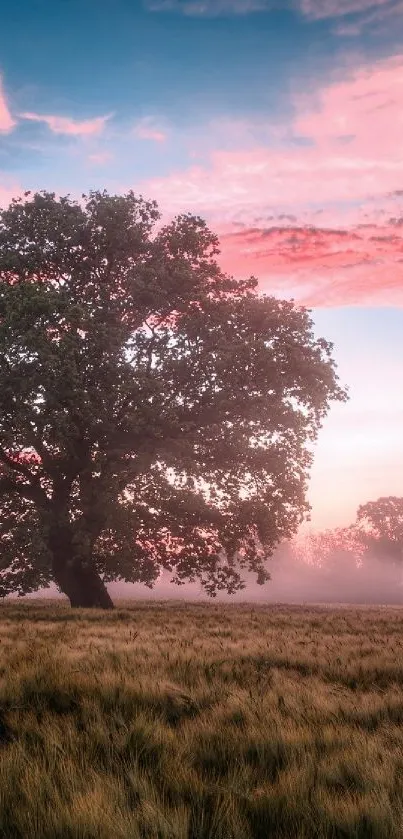 Lone tree in a misty field at sunrise with pink and blue sky.