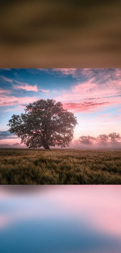 A lone tree stands in a field under a vibrant sunset sky, creating a peaceful scene.