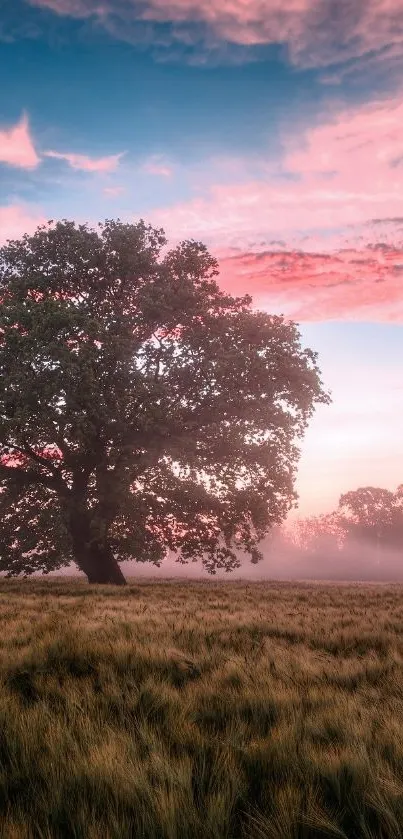 Beautiful tree in a field with a pink and blue sunset sky.