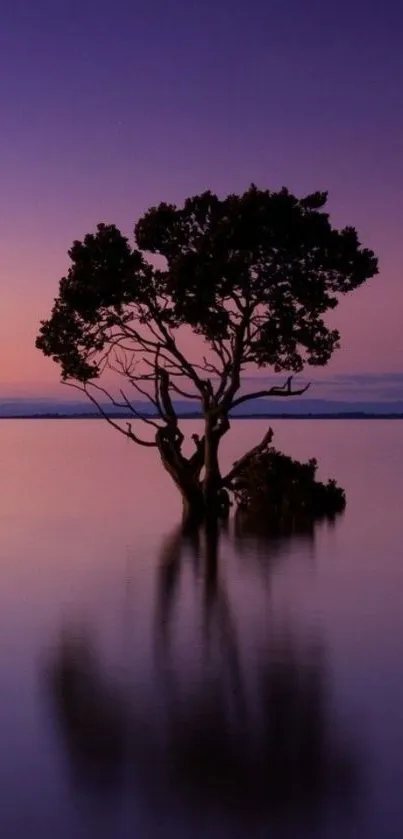 Solitary tree reflected on purple water at sunset.