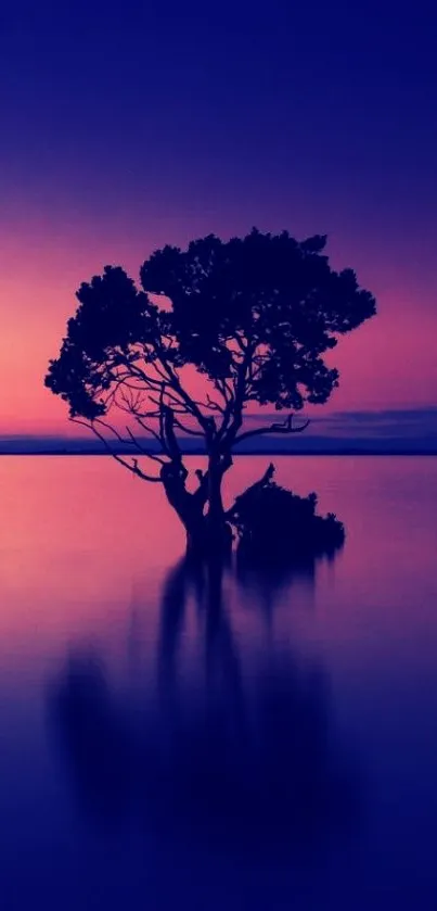 Silhouetted tree against a colorful sunset reflecting on water.