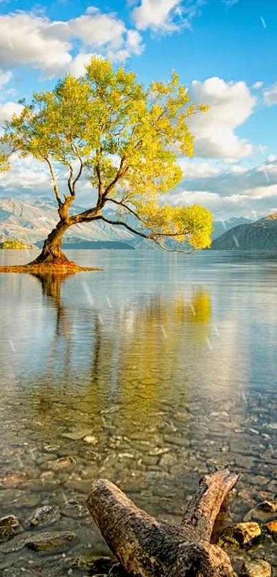 Lone tree in a tranquil mountain lake with a bright blue sky.